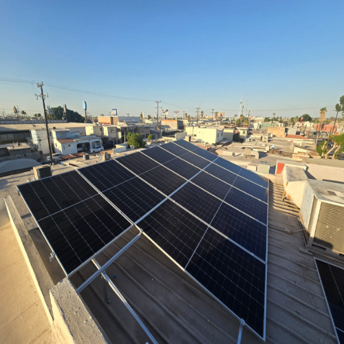 WhatsApp Image 2026-02-24 at 8.38.52 AM (5)