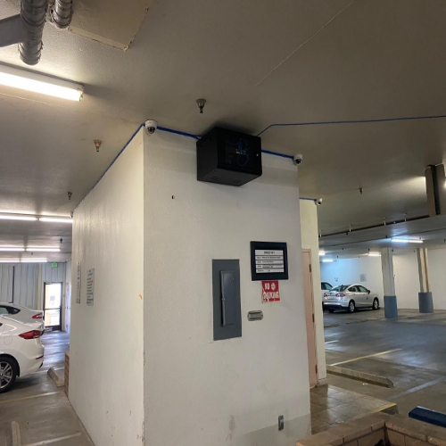 WhatsApp Image 2026-02-24 at 8.38.52 AM